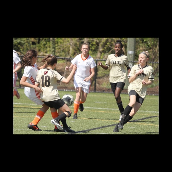 Meet your Posher, Sophia - Picture 1 of 1